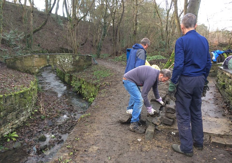 Burton Environment Work Parties