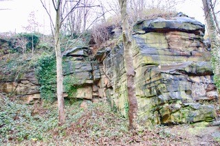 TQ1 Town Quarry Rock Face