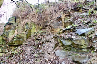 TQ2 Town Quarry Rock Face
