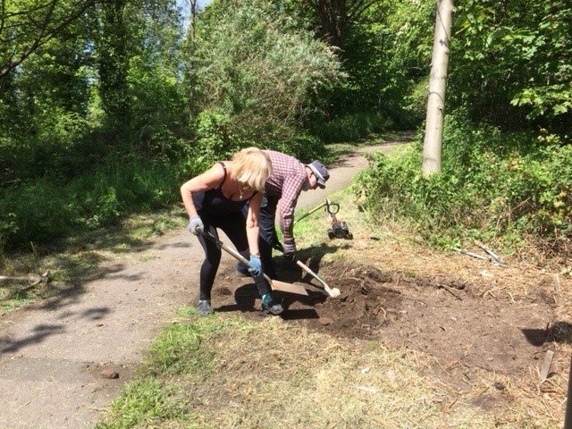TQ8 Volunteers working in the old Town Quarry