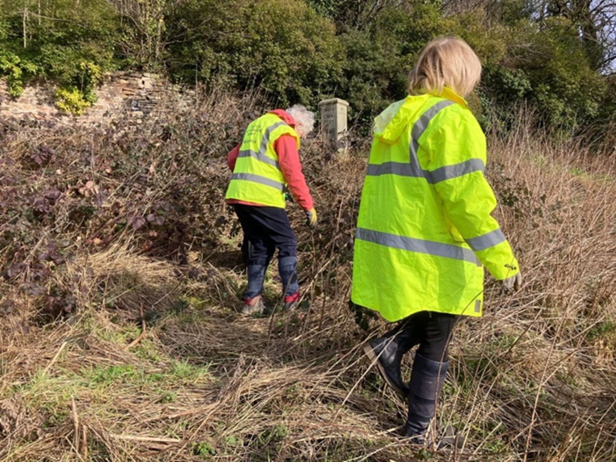 BEG-Feb2 Volunteers searching the undergrowth for litter.