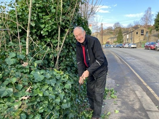 BEG-Feb3 One happy volunteer cutting back the ivy growing onto the pavement on North Road.
