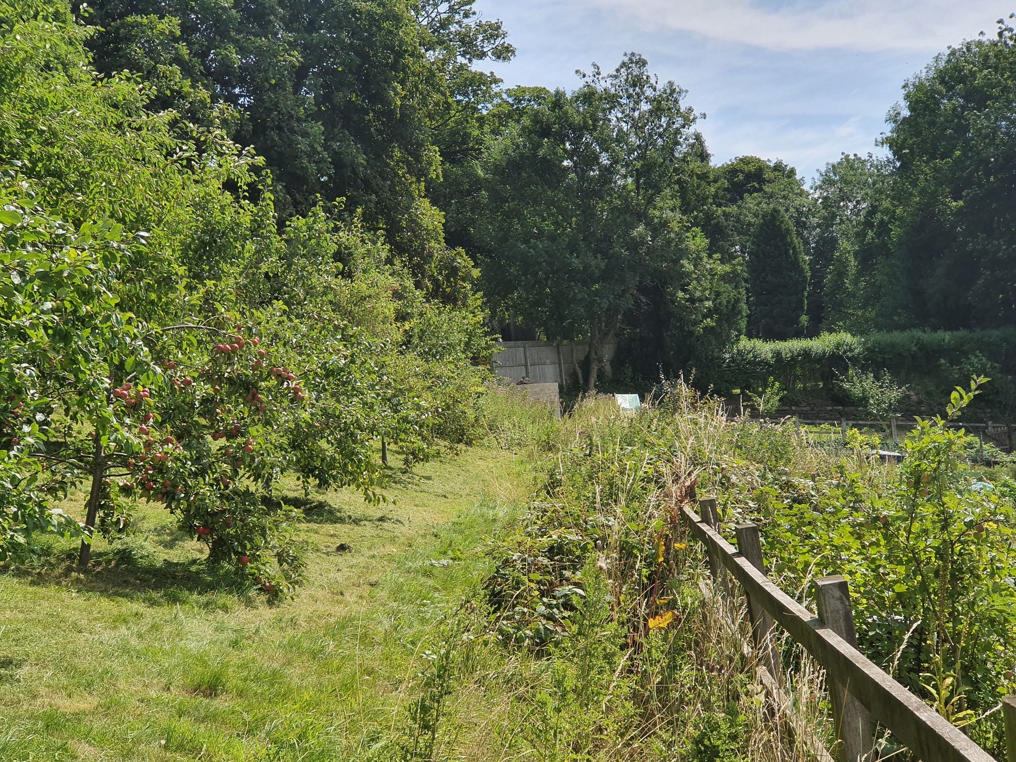 Tidying up the Community Field