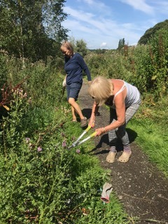 Tidying up the Community Field