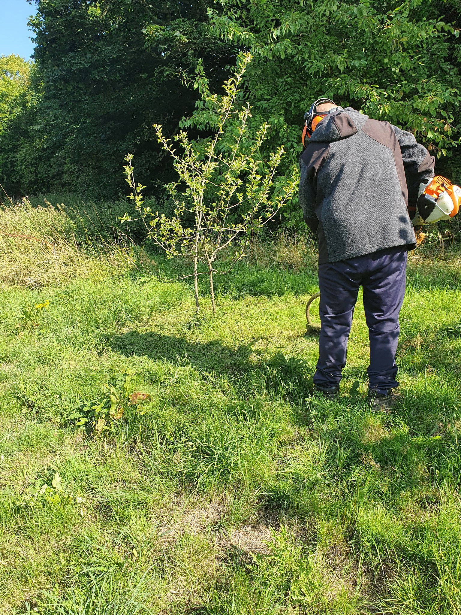 Tidying up the Community Field