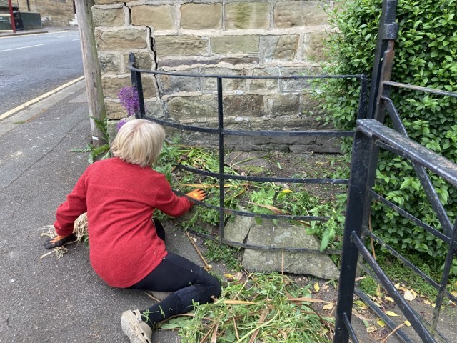 The Memorial Gardens being tidied up by volunteers - trimming all the shrubs, cutting grass and deadheading plants.