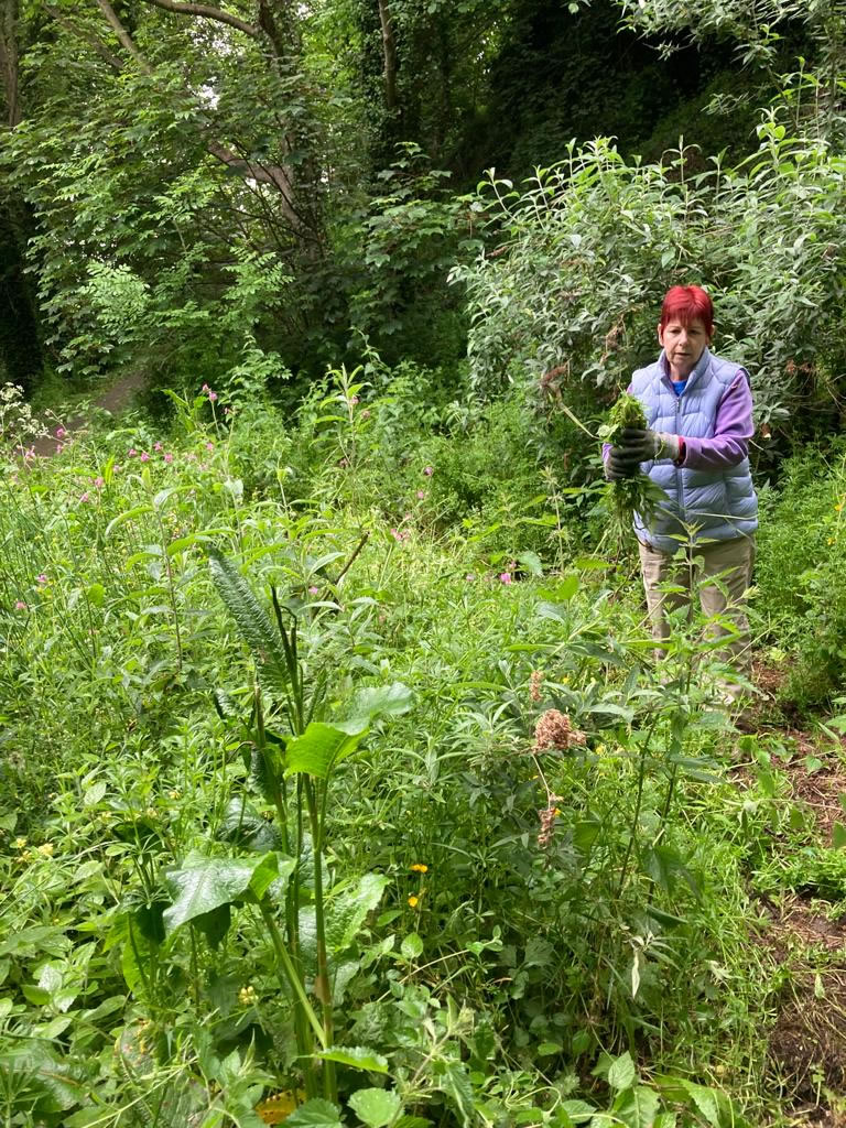 Volunteer using the new brushcutter