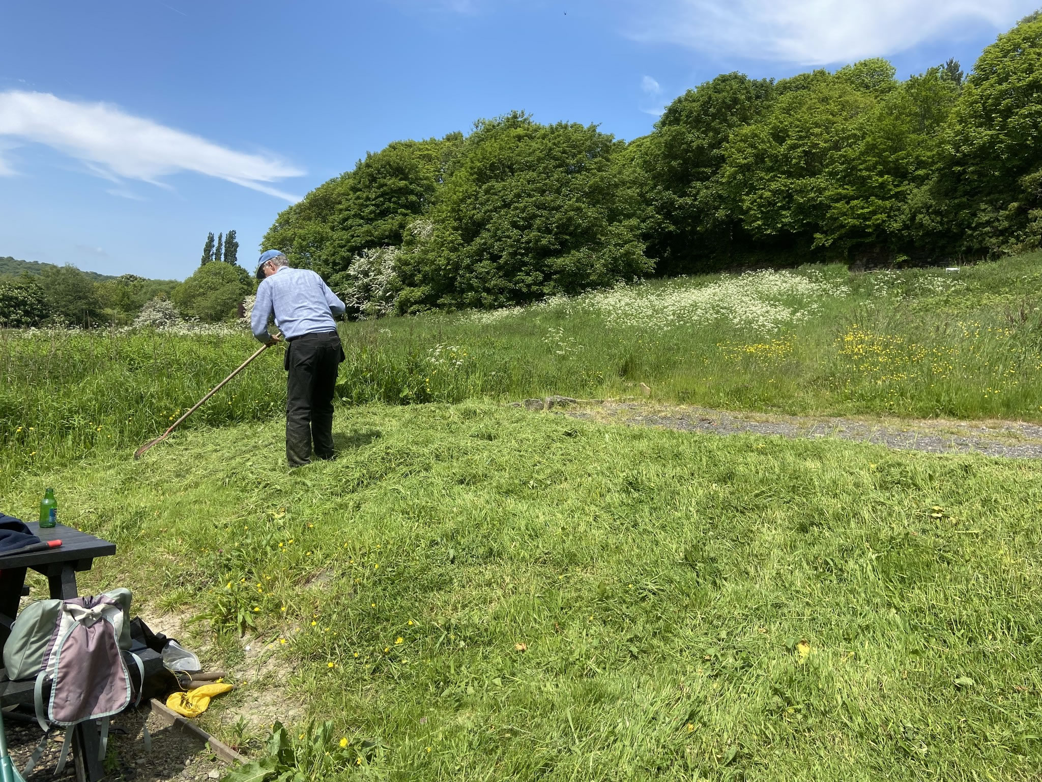 Volunteer tending to grass near pathways