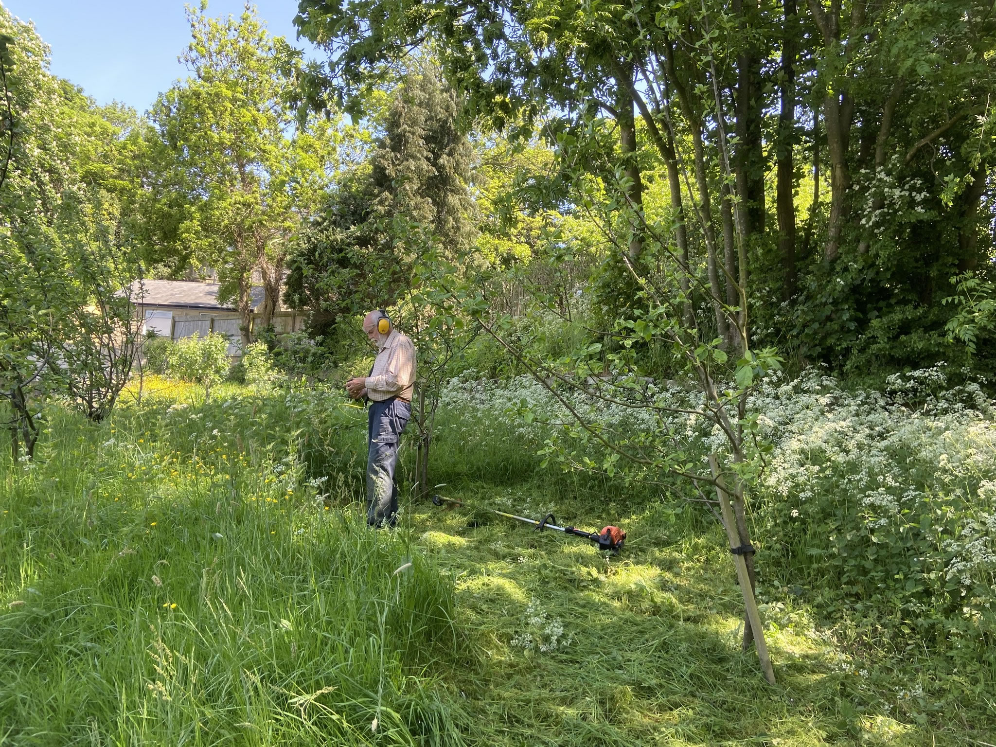 Cutting grass in the Community Orchard
