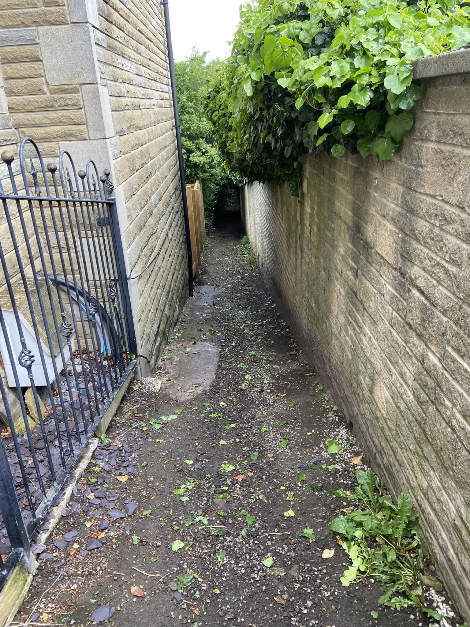 Footpath Clearing