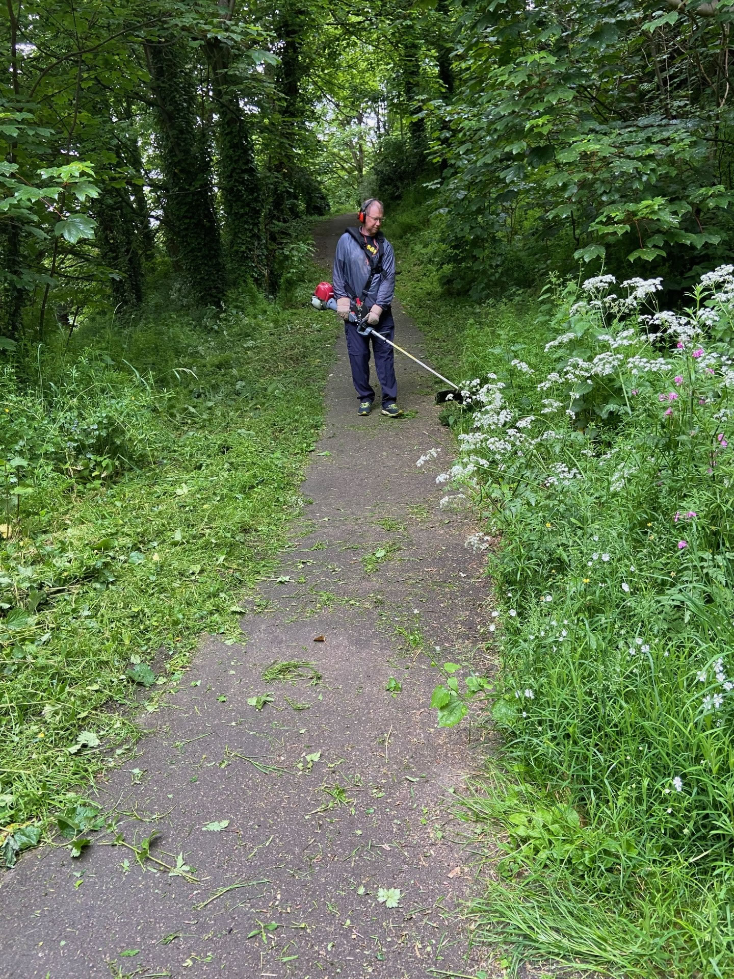 Volunteer removing overgrowing weeds in the quarry area