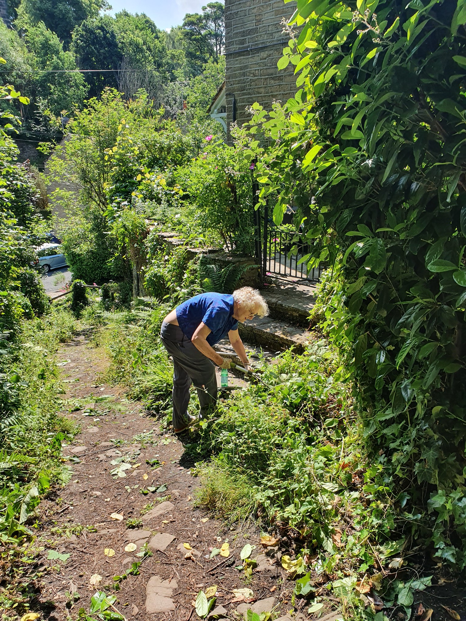 Maintenance on an overgrown footpath from Riley Park to Low Town.