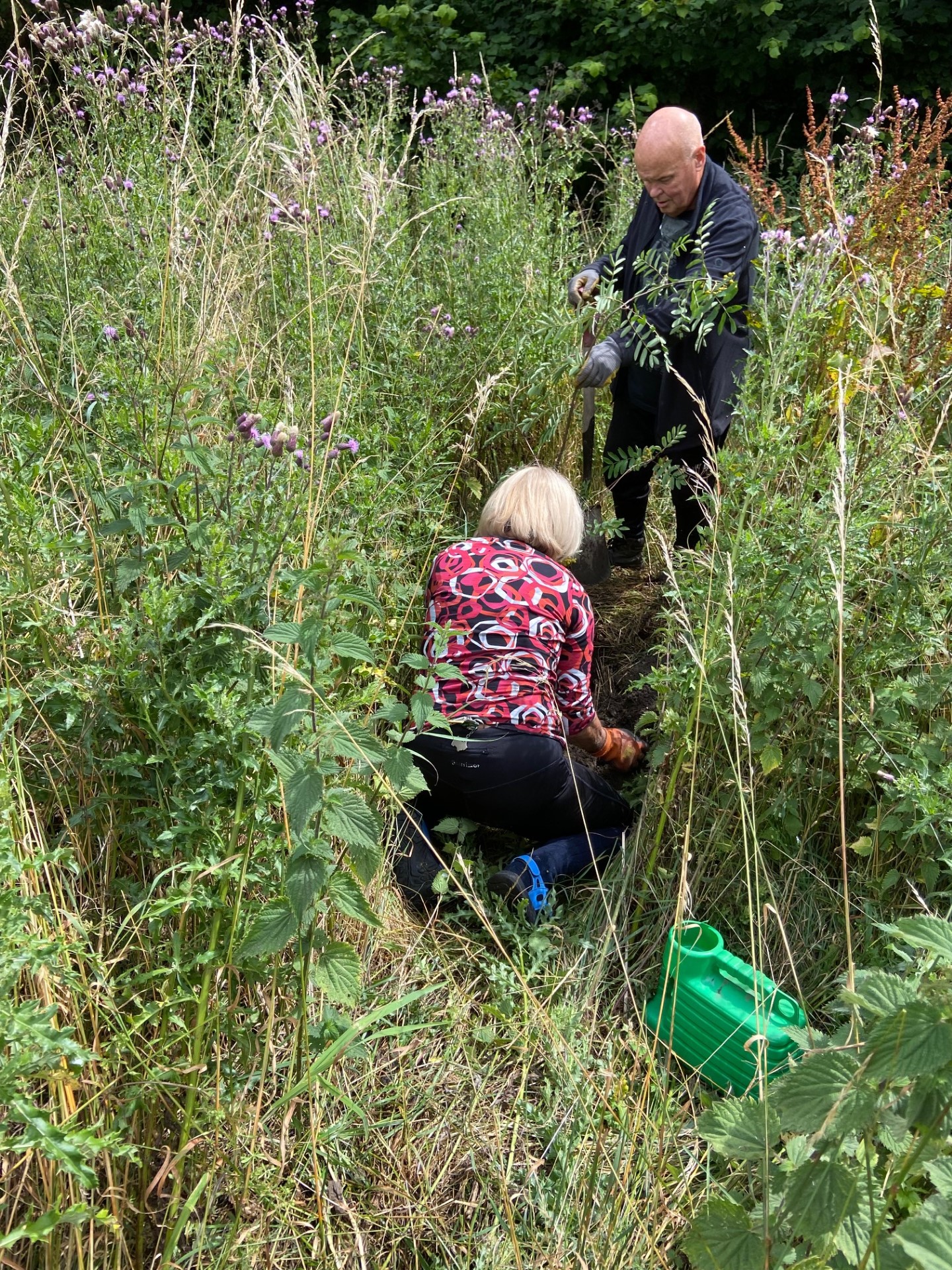 Planting saplings in the Community Field