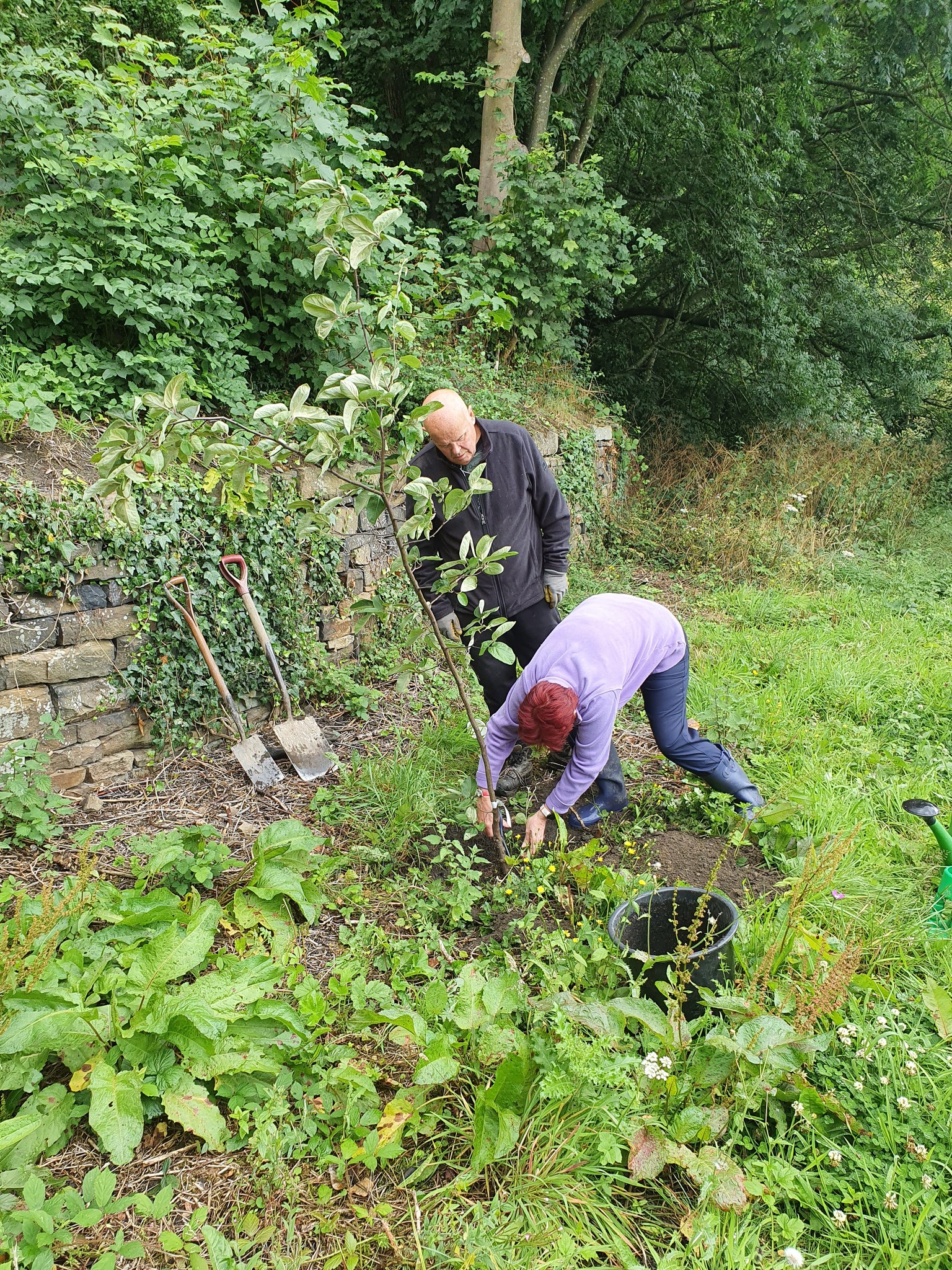 Planting saplings in the Community Field