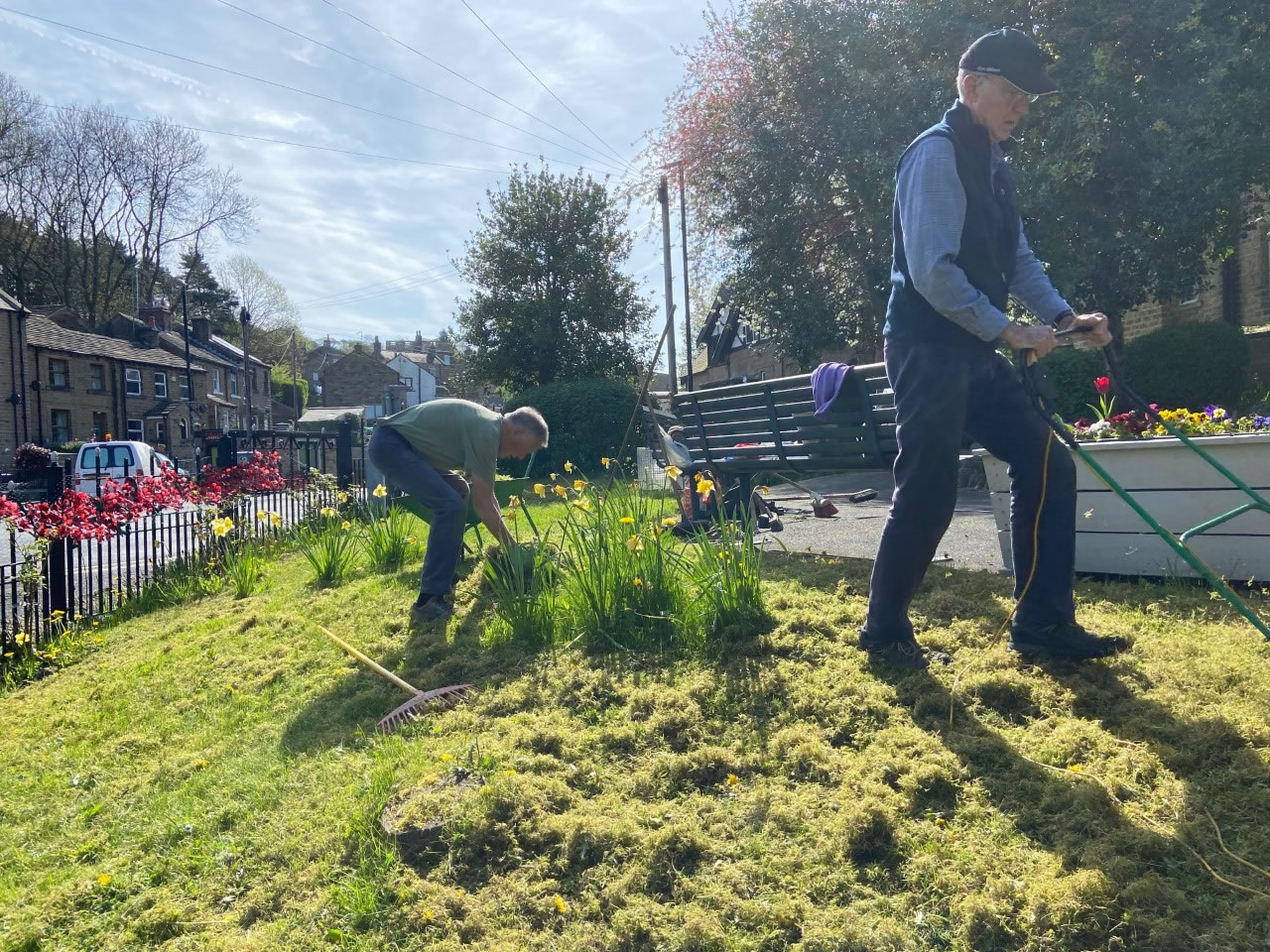 Volunteers scarifying to remove the moss and dead grass embedded in the all the grassed areas.