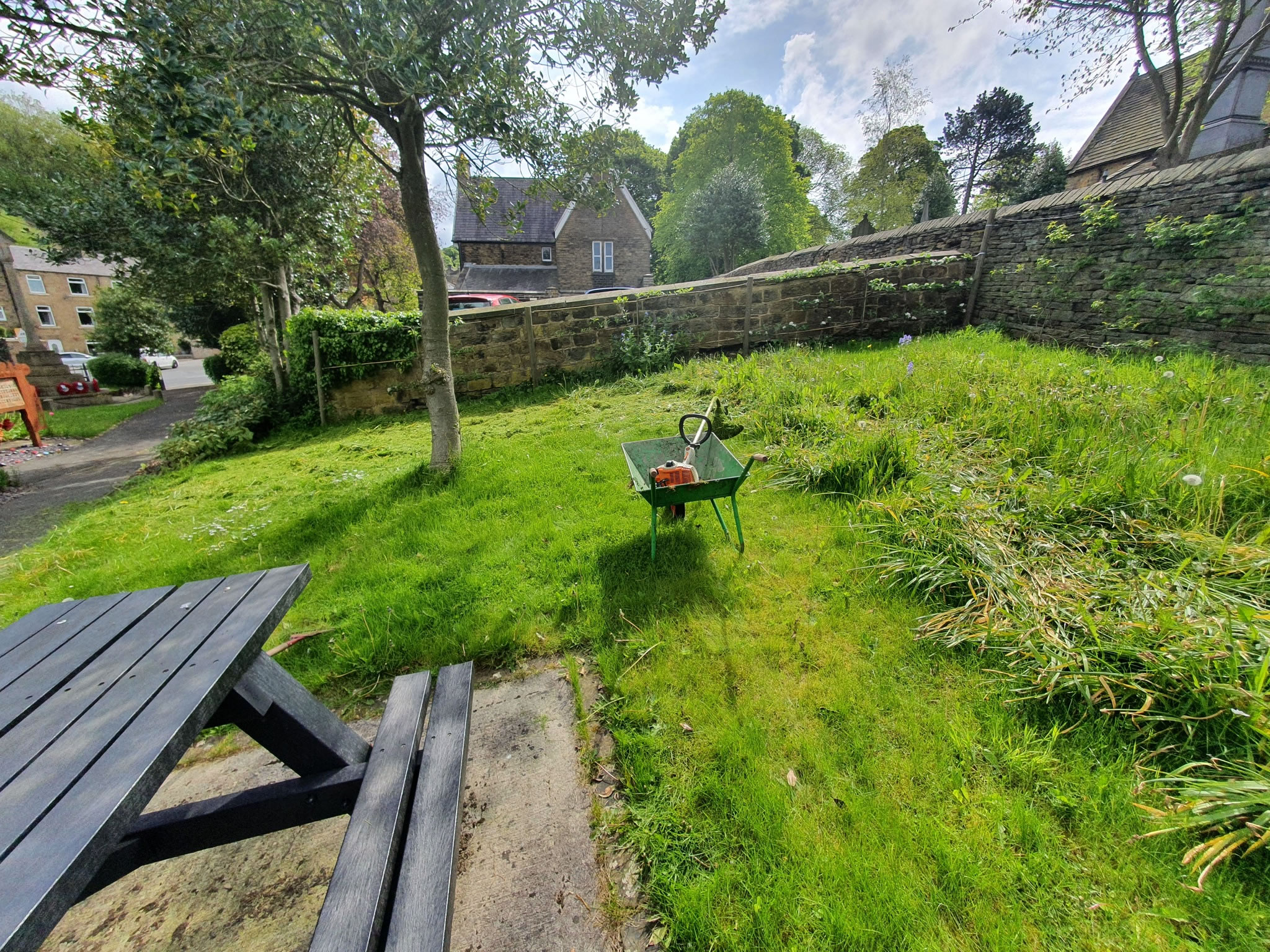 Scarifying to remove the moss and dead grass embedded in the all the grassed areas.