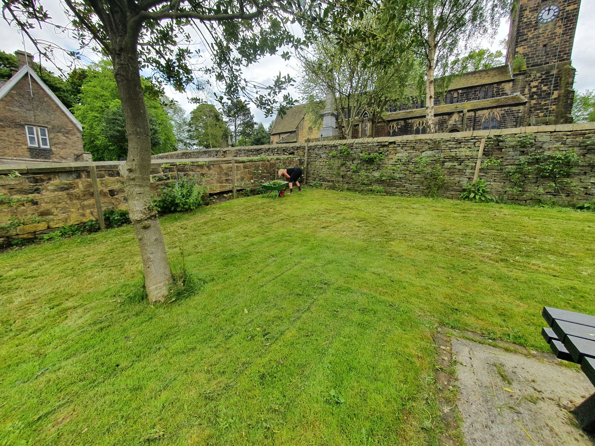 Scarifying to remove the moss and dead grass embedded in the all the grassed areas.