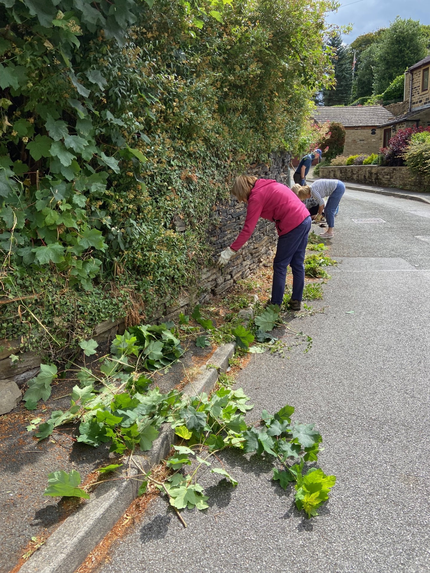 Work in the villages to control shrubs, brambles, branches and grasses.
