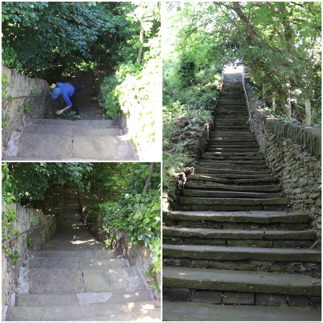 The steps from Slant Gate to Penistone Road regularly need to be cleared of fallen leaves, twigs and rubble to ensure safe passage