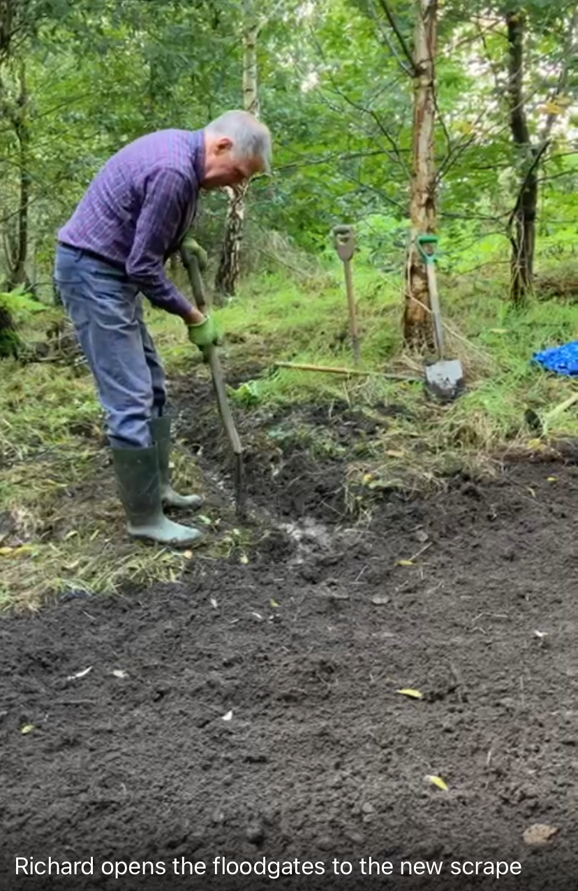 Volunteer digging a scrape in the damp woodland area of the Community Field