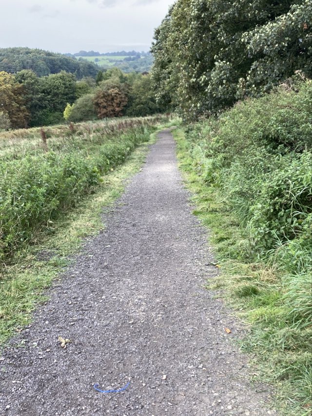Clearance of footpaths and exercise station areas in the Community Field