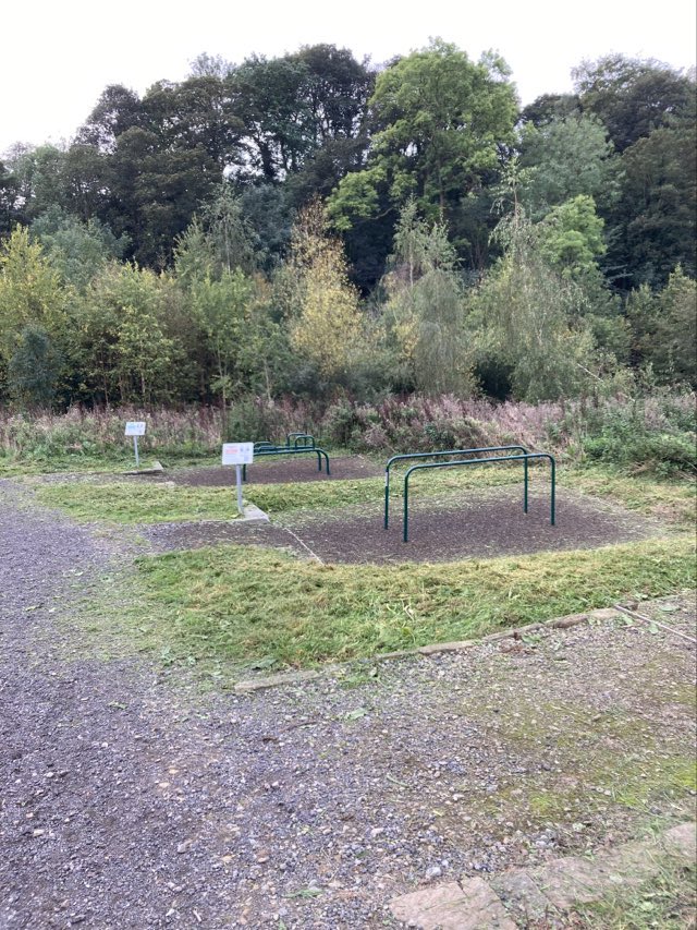 Clearance of footpaths and exercise station areas in the Community Field