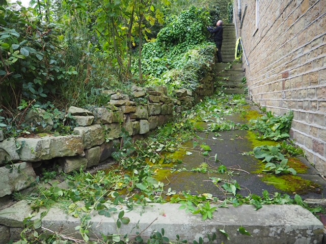 Low Town steps covered with brambles and foliage