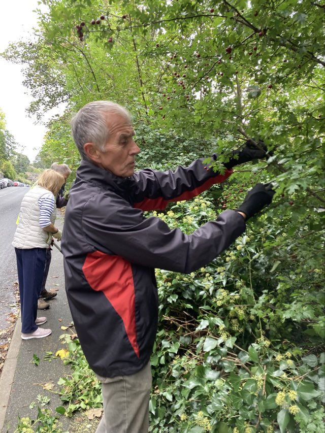 Volunteers clearing foliage to keep paths clear for pedestrians