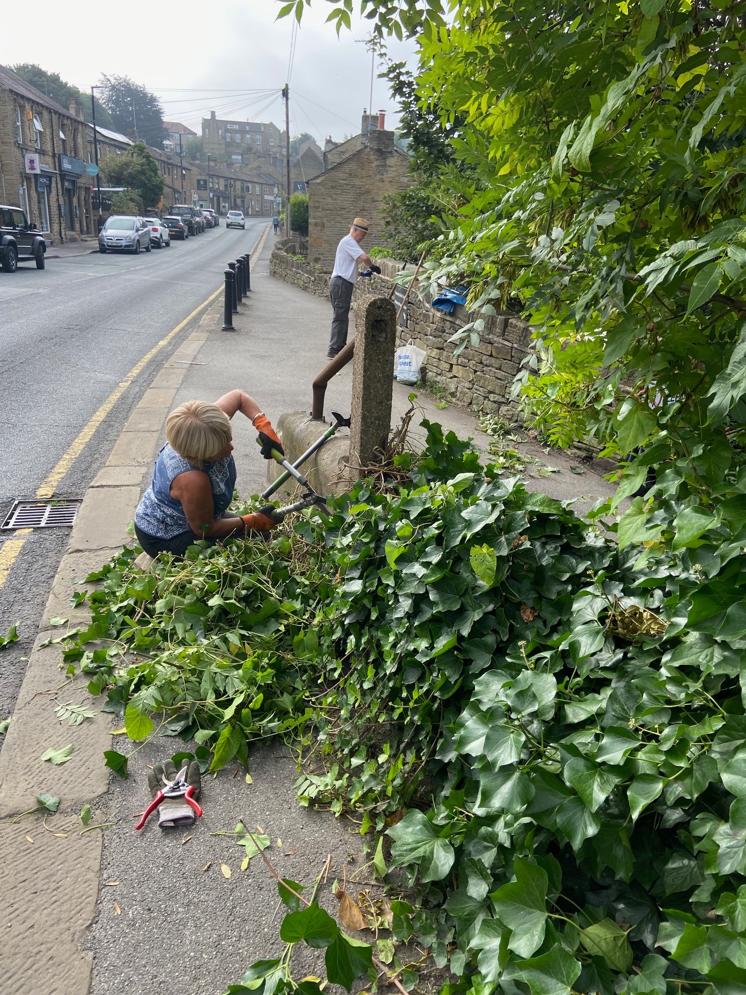 Volunteers clearing growth of trees and ivy on North Road
