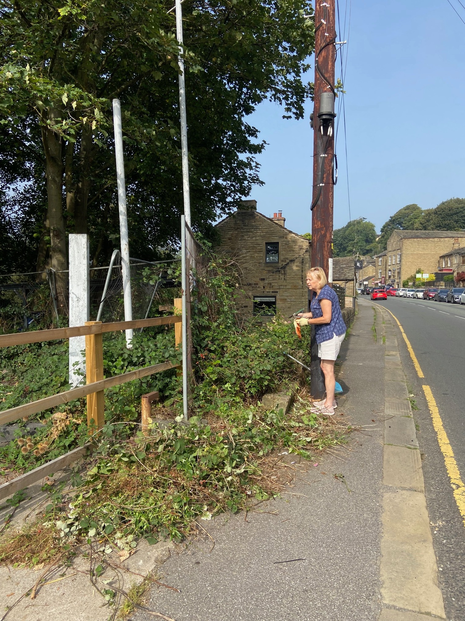 Volunteers clearing growth of trees and ivy on North Road