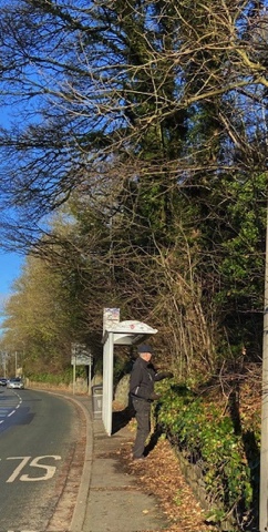 Volunteer clearing paths along North Road