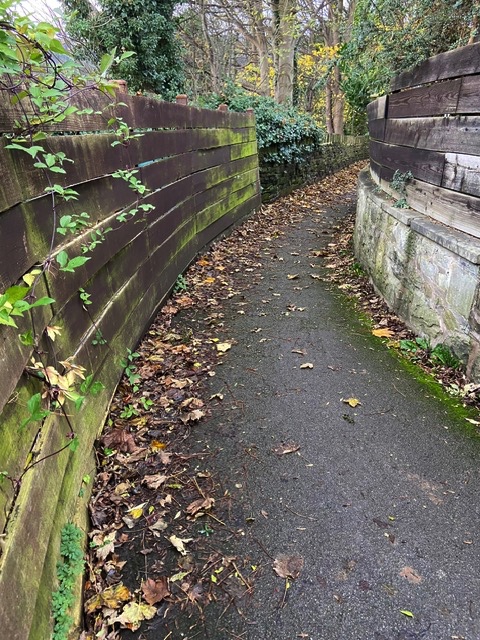 Leaves needing to be swept away in the Old Quarry