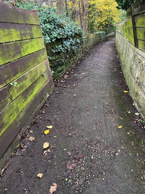Old Quarry swept clear of leaves
