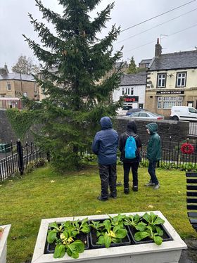 Scouts decorating trees in the Memorial Gardens